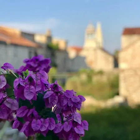 Apartment Bobotovi In Center Of Stari Grad, Hvar